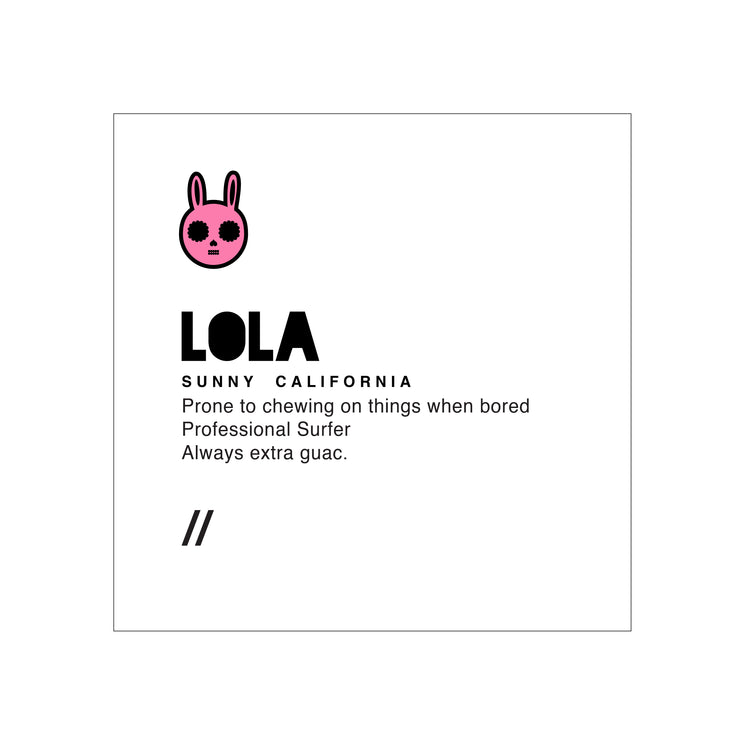 Lola [I-D Sleeve] T-Shirt - NOMS LIFE